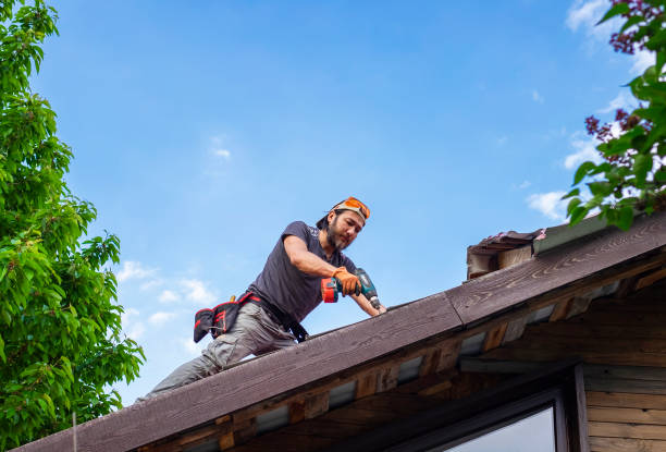 Best Roof Insulation Installation  in Pocahontas, AR